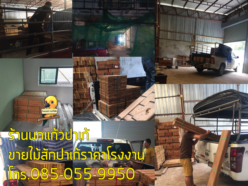 พื้นไม้สักร้านนกแก้ว ปาเก้ไม้สักเกรด A ราคาโรงงานขายเอง รับประกันส่งไว ส่งชัวร์ ทั่วไทย